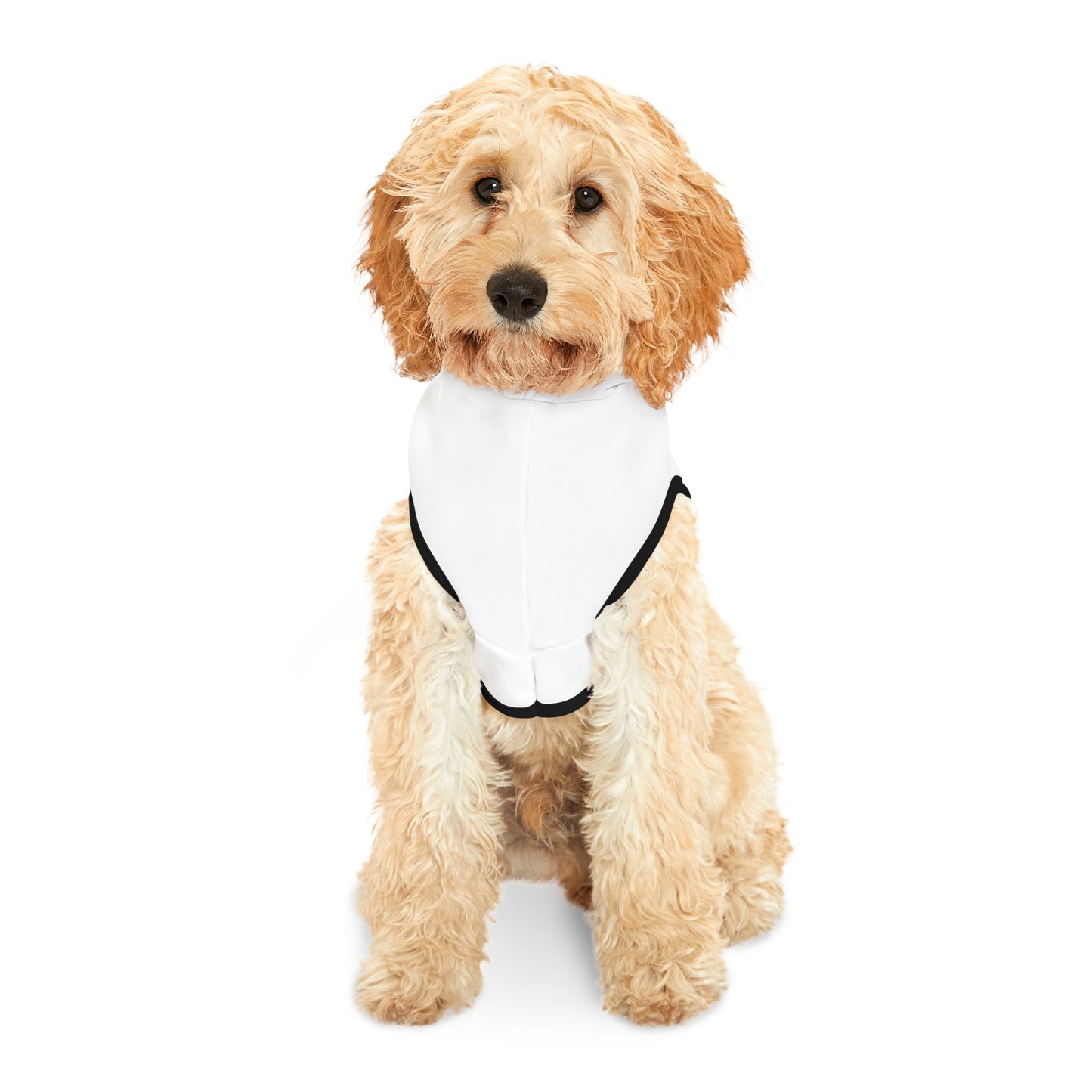 Cozy Pet Hoodie for Trendy Dogs & Cats in Black and White - in Black Font and White Font