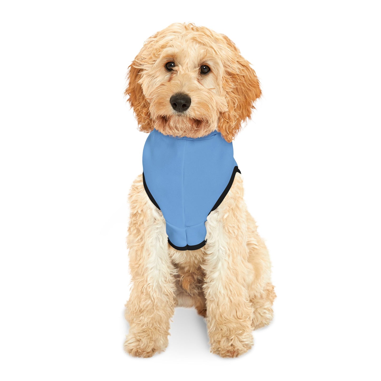 Cozy Pet Hoodie for Trendy Dogs & Cats in Blue - in Black Font and White Font
